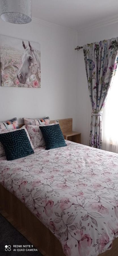 La Casa Alana Hotel Вишеу де Жос Екстериор снимка